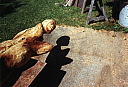 scan_080112_0018.jpg